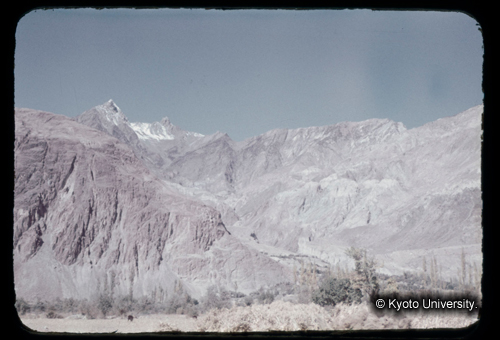 カラースライドF21_11 (1)