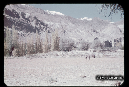 カラースライドF21_08 (1)