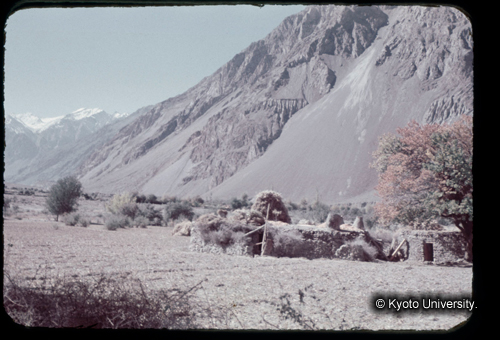 カラースライドF21_10 (1)