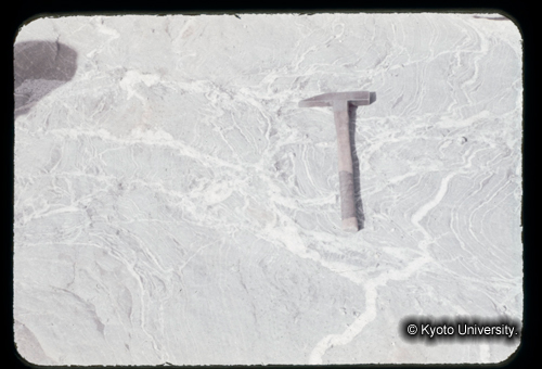 カラースライドF11_02 (1)