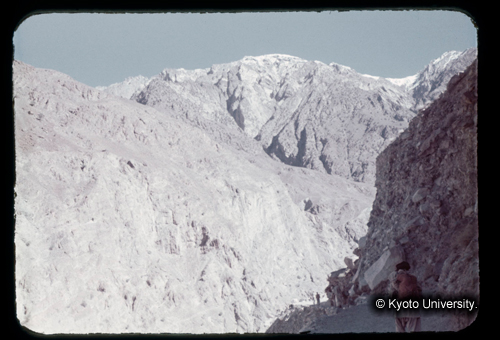 カラースライドF19_11 (1)