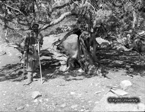 ヒンズークシ地域撮影フィルム : F-31-11 (1)