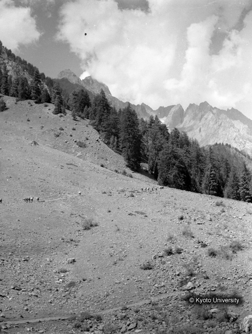 ヒンズークシ地域撮影フィルム : F-5-16 (1)