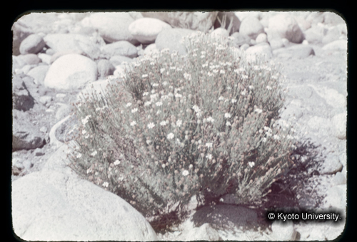 カラースライドF08_04 (1)