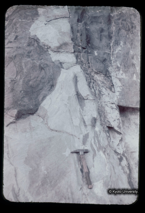 カラースライドF20_03 (1)