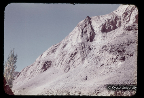 カラースライドF19_01 (1)