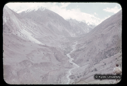 カラースライドF13_20 (1)