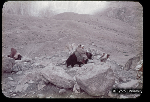 カラースライドF13_13 (1)