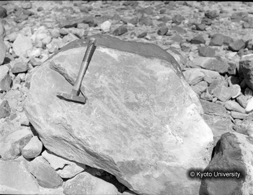 ヒンズークシ地域撮影フィルム : HF-3-11 (1)