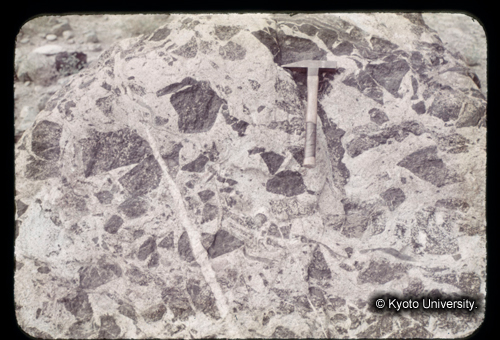 カラースライドF03_13 (1)