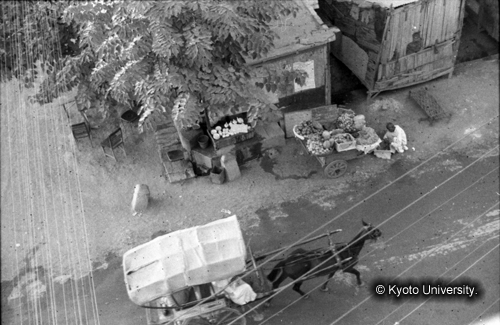 ヒンズークシ地域撮影フィルム : F-47-5 (1)