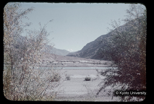 カラースライドF21_14 (1)