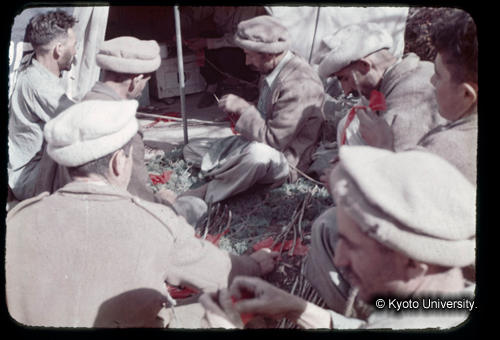 カラースライドF10_20 (1)