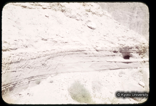 カラースライドF03_06 (1)