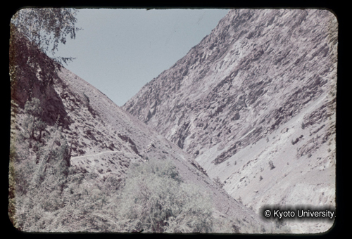 カラースライドF07_03 (1)