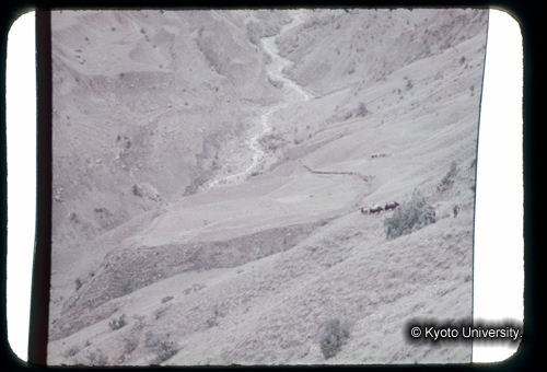 カラースライドF13_21 (1)