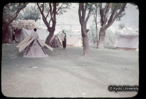 カラースライドF14_19 (1)