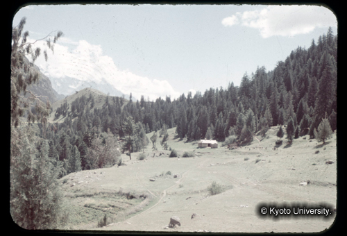 カラースライドF04_18 (1)