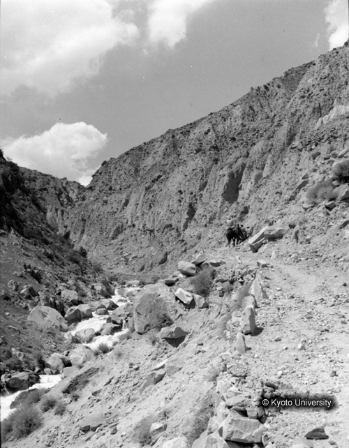 ヒンズークシ地域撮影フィルム : HF-4-8 (1)