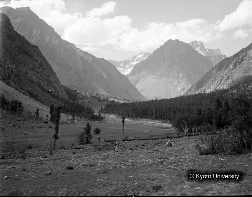 ヒンズークシ地域撮影フィルム : F-6-5 (1)