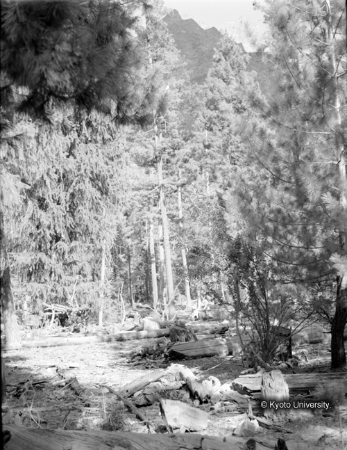 ヒンズークシ地域撮影フィルム : F-6-6 (1)