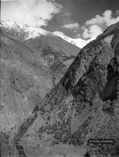 ヒンズークシ地域撮影フィルム : F-29-4 (1)