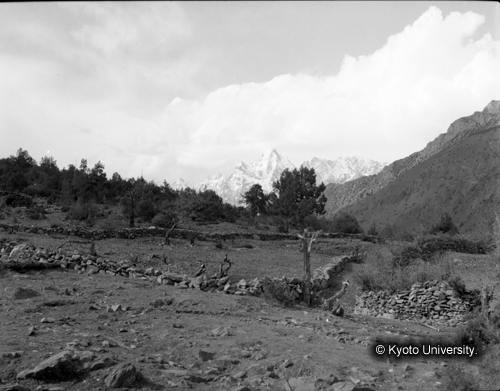 ヒンズークシ地域撮影フィルム : F-29-10 (1)