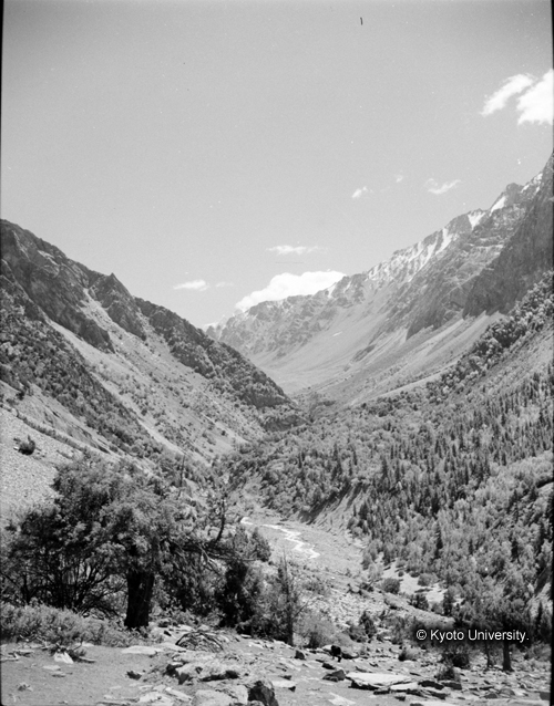 ヒンズークシ地域撮影フィルム : F-9-8 (1)