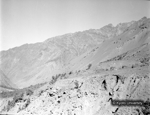 ヒンズークシ地域撮影フィルム : F-10-1 (1)