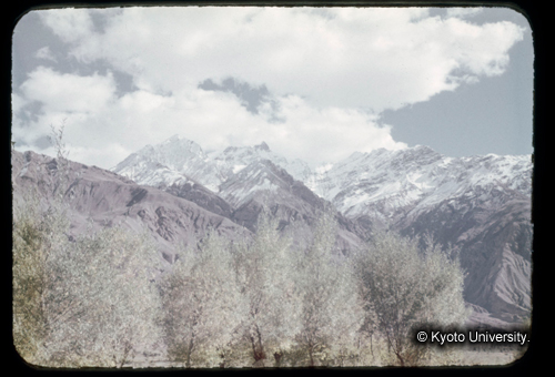 カラースライドF16_08 (1)