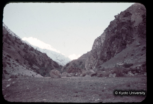 カラースライドF15_03 (1)