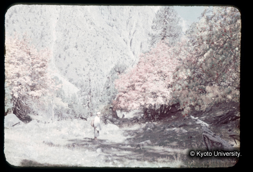 カラースライドF09_20 (1)