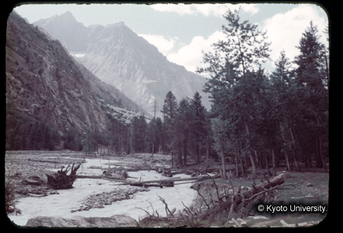 カラースライドF05_04 (1)