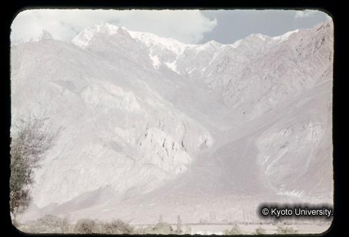 カラースライドF16_04 (1)