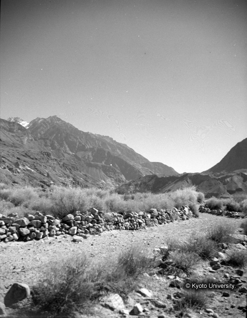 ヒンズークシ地域撮影フィルム : F-43-3 (1)