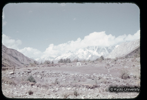 カラースライドF14_08 (1)