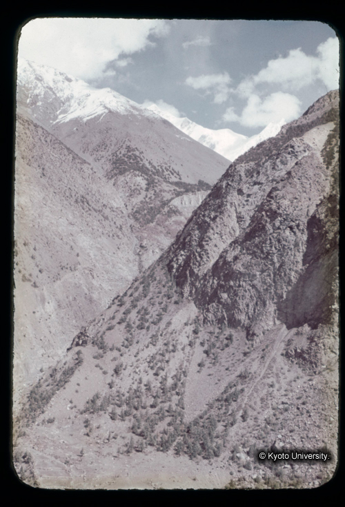 カラースライドF14_10 (1)