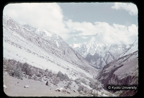 カラースライドF15_11 (1)