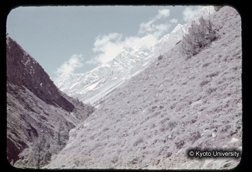 カラースライドF15_12 (1)