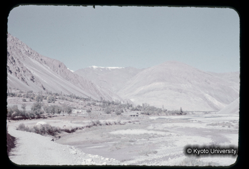 カラースライドF17_12 (1)