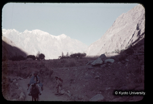 カラースライドF19_05 (1)