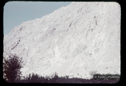 カラースライドF19_07 (1)