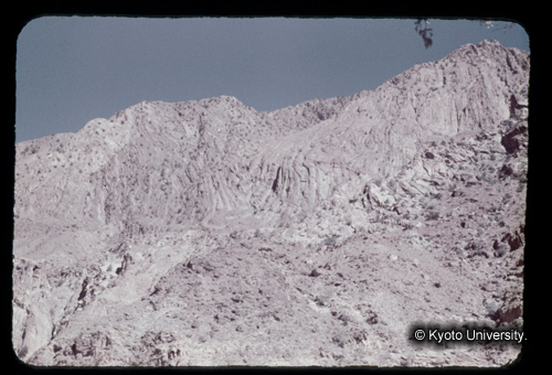 カラースライドF19_15 (1)