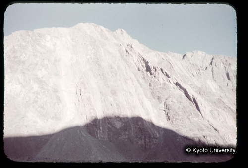 カラースライドF20_01 (1)