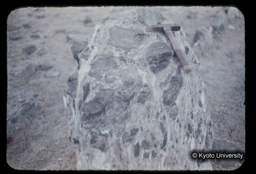 カラースライドF20_02 (1)