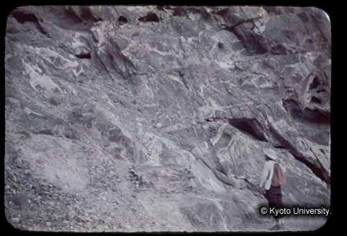 カラースライドF20_05 (1)