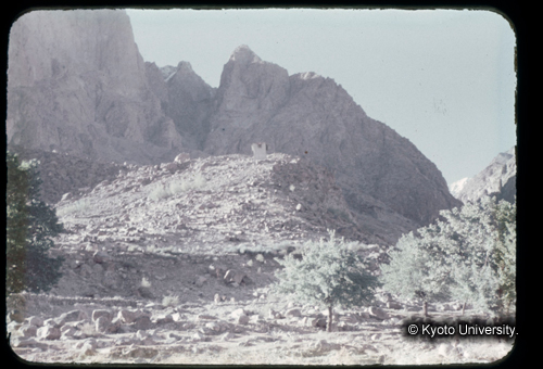 カラースライドF20_07 (1)