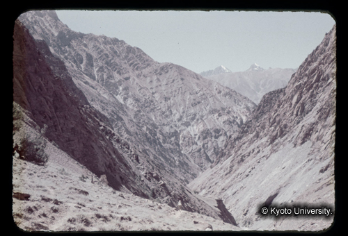 カラースライドF07_05 (1)