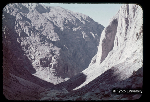 カラースライドF20_11 (1)