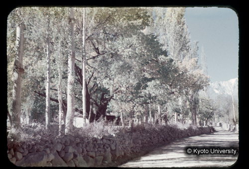 カラースライドF20_13 (1)